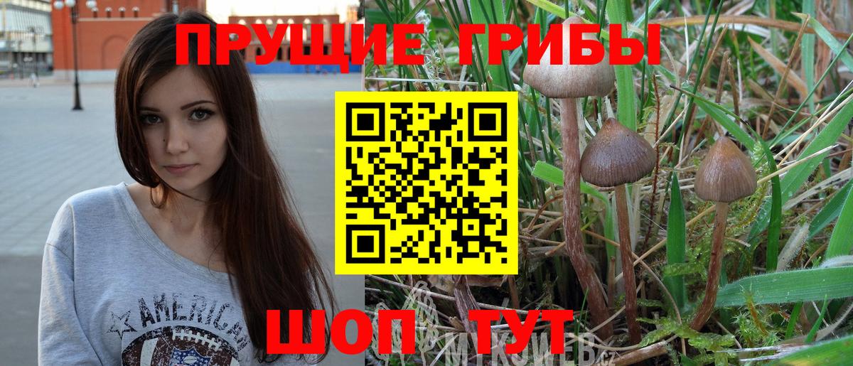 Галлюциногенные грибы Psilocybe  Вход с VPN  наркотики  Балашиха 
