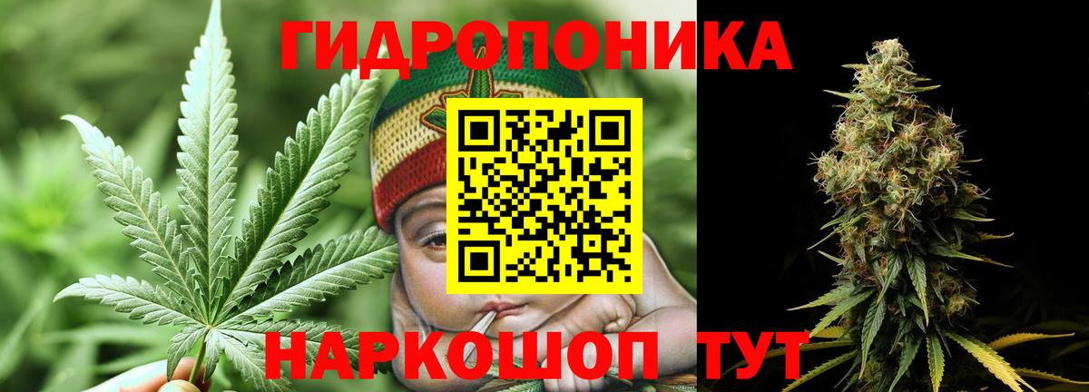Бошки Шишки MAZAR  Конопля марихуана  Вход с VPN  Балашиха  Конопля индика 